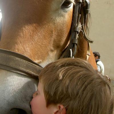 Visite de la ferme et de ses animaux 